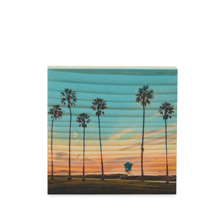 Santa Barbara Palms Magnet